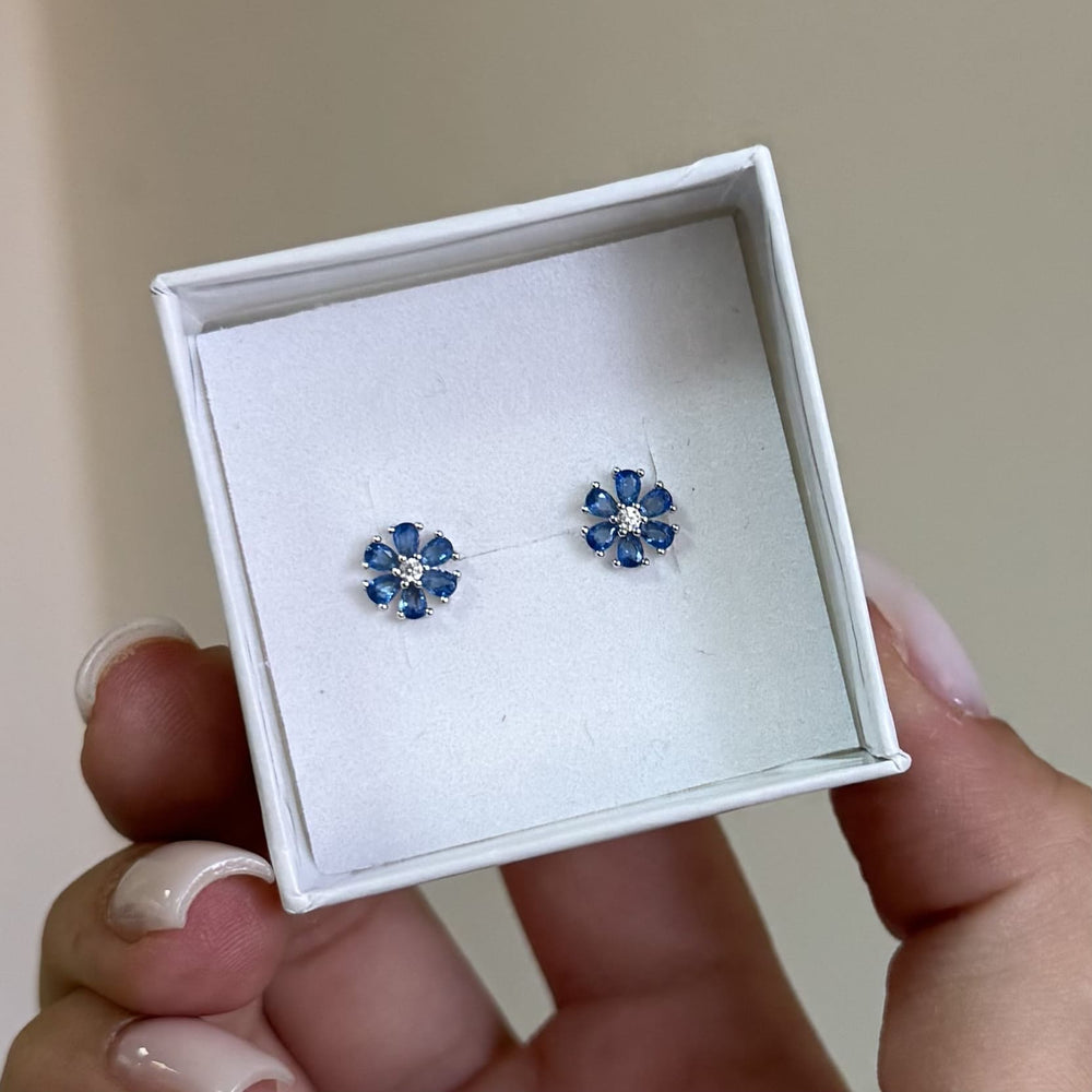 SREBRNE MINDJUŠE PETALIA