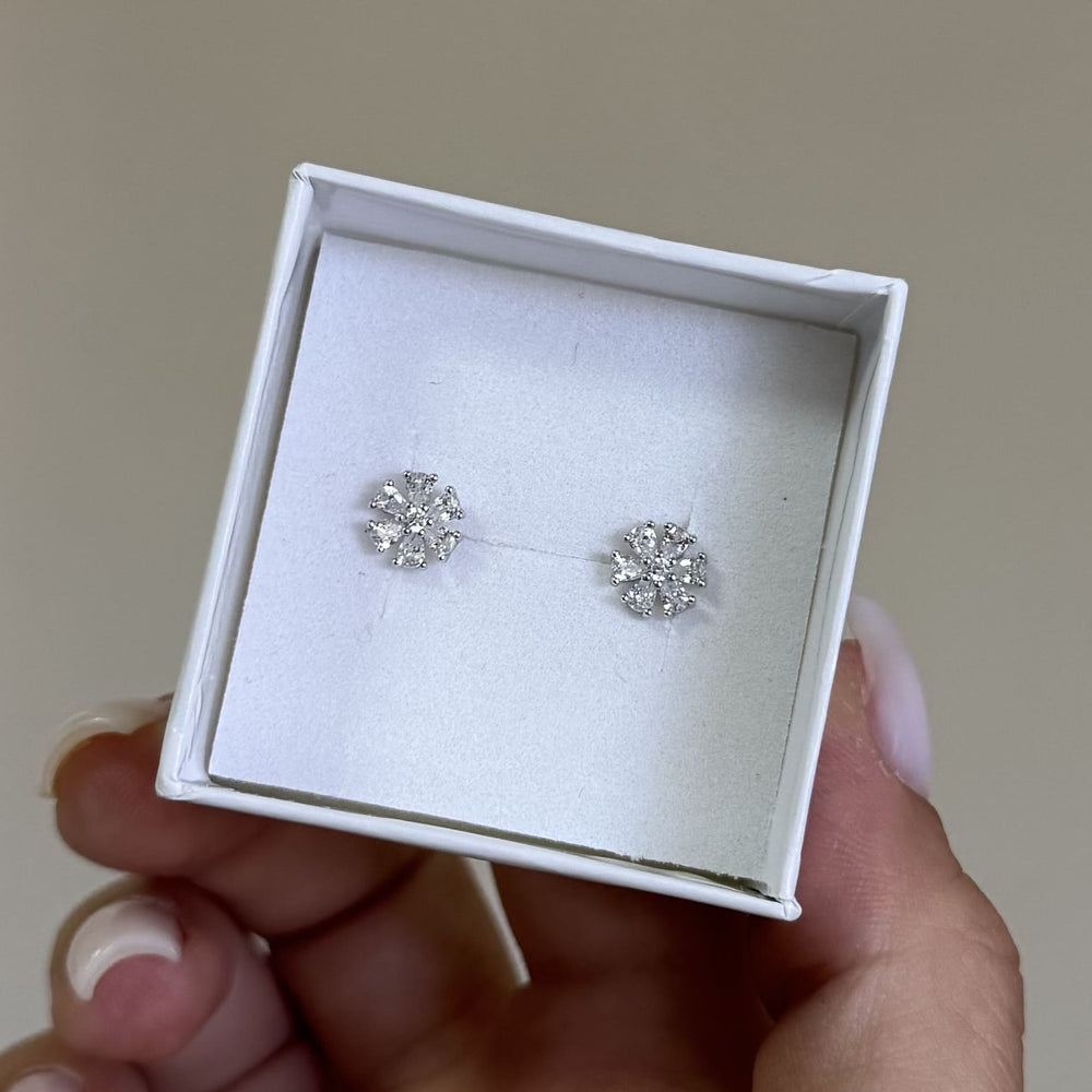 SREBRNE MINDJUŠE PETALIA